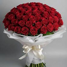 Букет 101 Красная роза Блэк Мэджик в Рыбаки