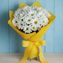 Букет цветов из:  Хризантемы в Рыбаки