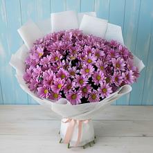 Букет цветов из:  Хризантемы #REPLACE_PRED# Рыбаки