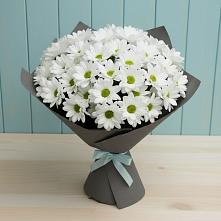 Букет цветов из:  Хризантемы в Рыбаки