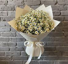 Букет цветов из:  Ромашки в Рыбаки
