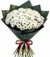 Букет цветов из:  Хризантемы в Рыбаки