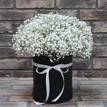 Цветочная композиция из Гипсофила в шляпной коробке #REPLACE_PRED# Рыбаки