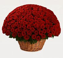 Премиум букет из: Розы в Рыбаки