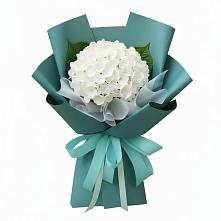 Букет цветов из:  Гортензия в Рыбаки